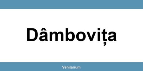 Programare RAR Dâmbovița – verificare vehicul, adresă și telefon