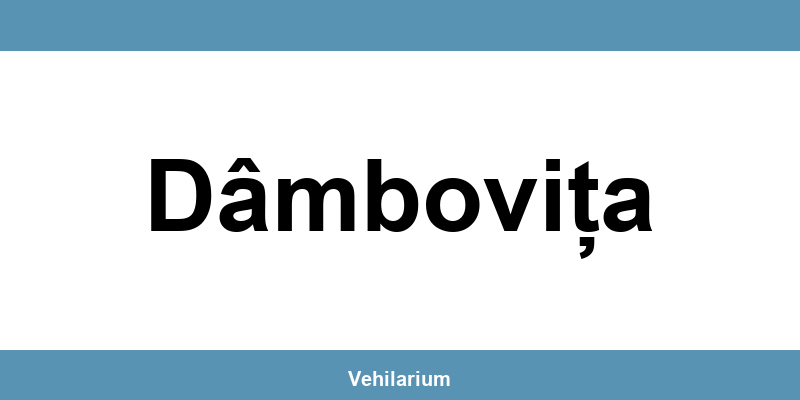 Programare RAR Dâmbovița – verificare vehicul, adresă și telefon