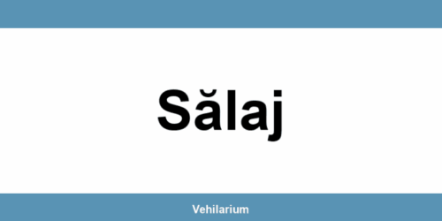 Programare RAR Sălaj – verificare vehicul, adresă și telefon