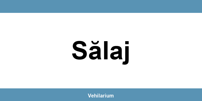 Programare RAR Sălaj – verificare vehicul, adresă și telefon