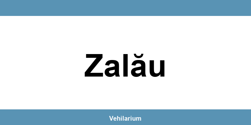 Programare RAR Zalău – verificare vehicul, adresă și telefon